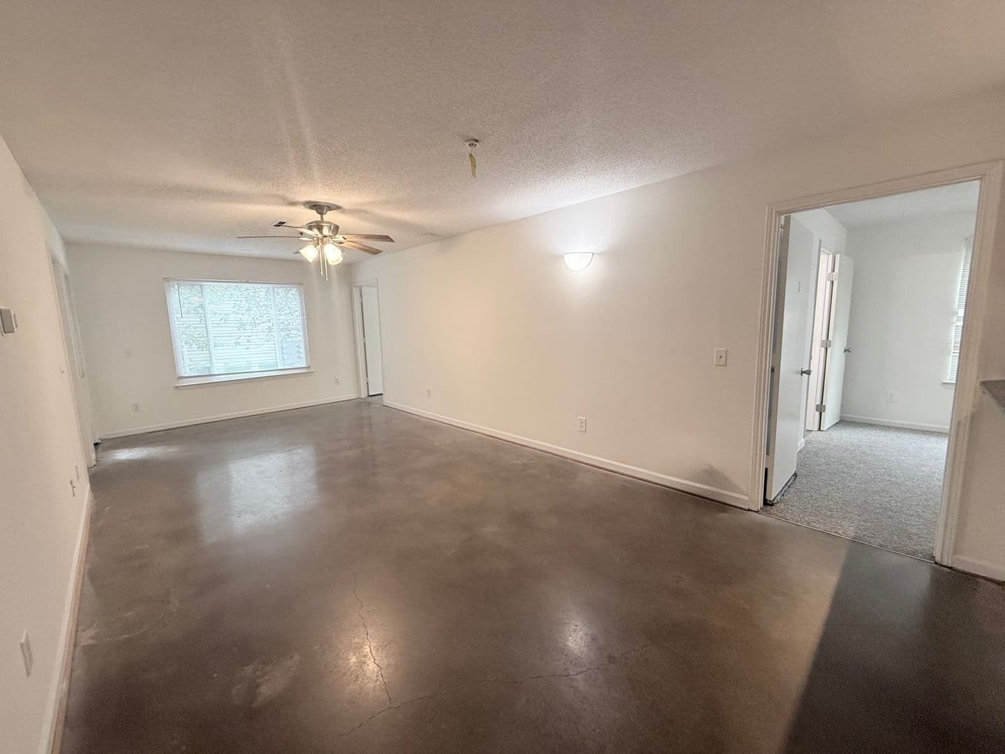 RALEIGH House: 1511-102 GRADUATE LN