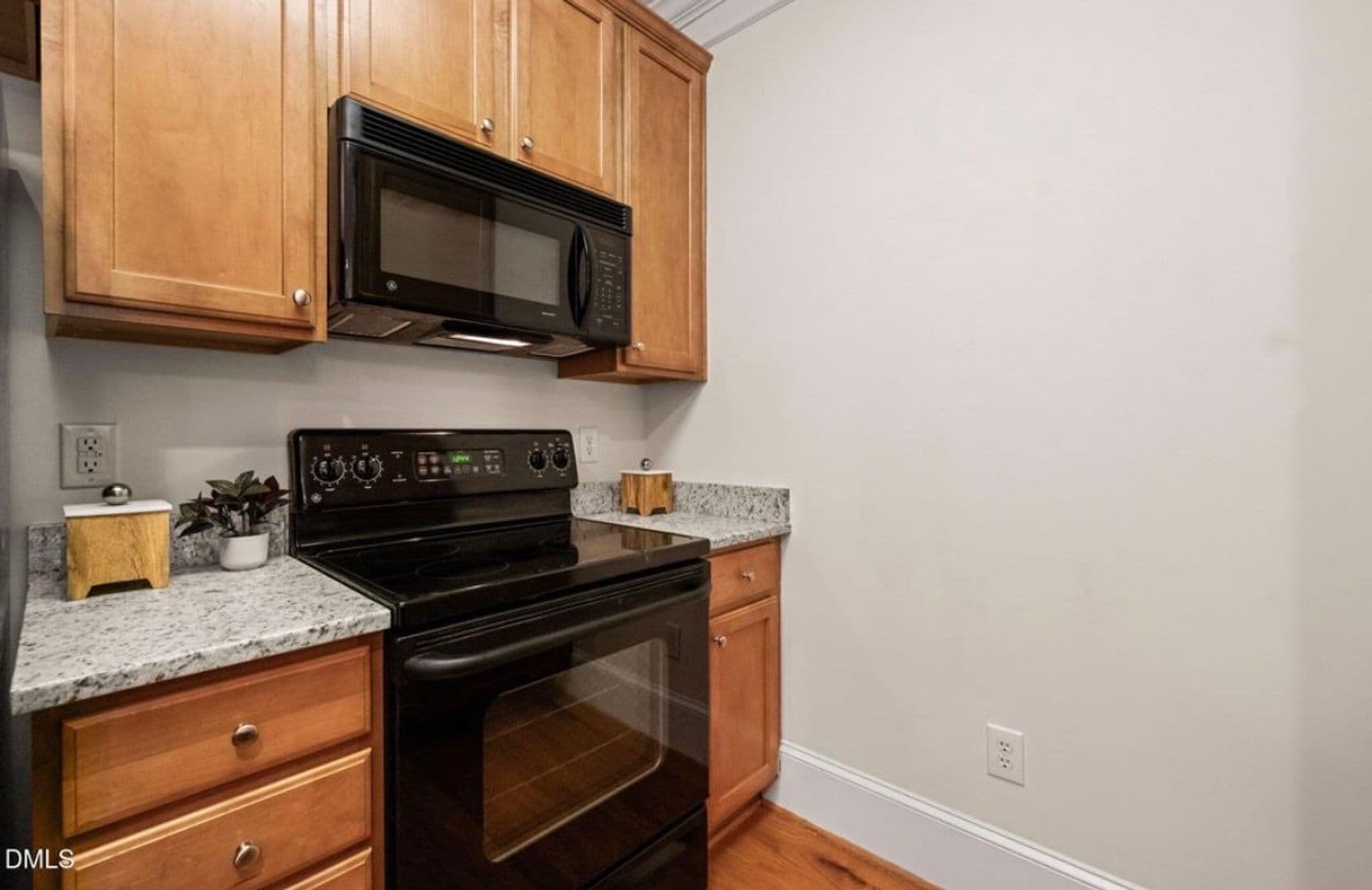 Cary Condo: 225 Waterford Lake Drive