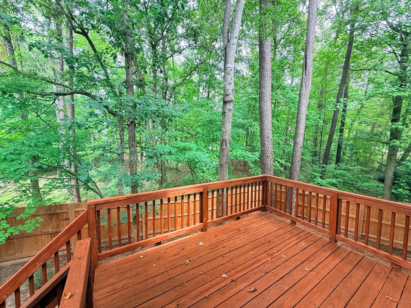 Raleigh House: 4073 Landover Lane