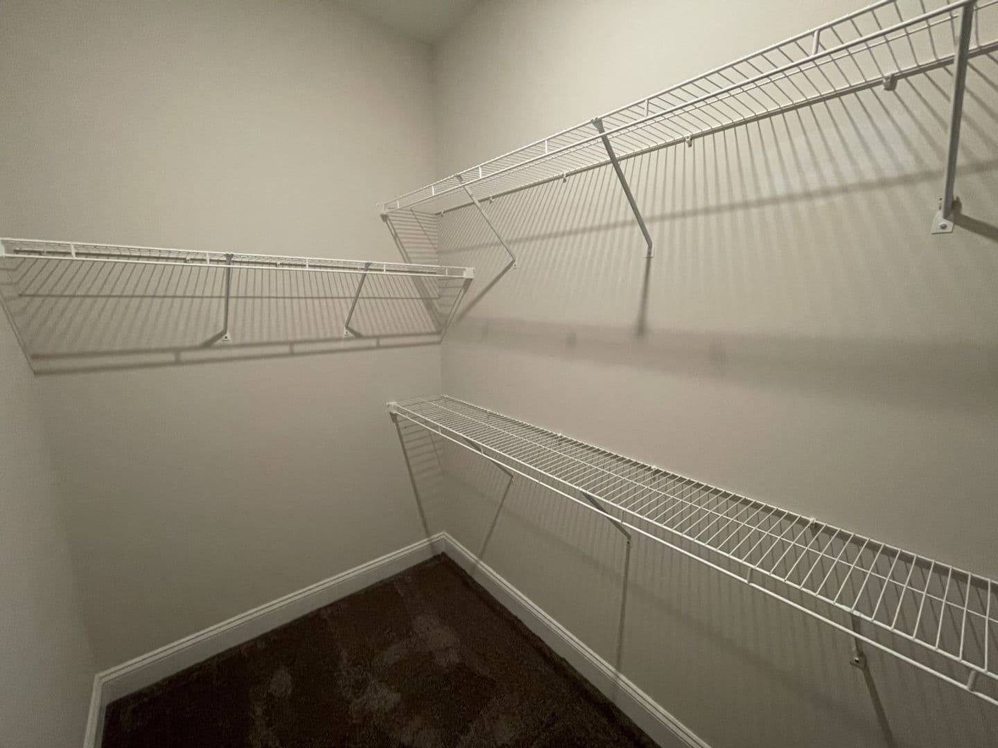 Raleigh Apartment: 1401 Stovall Dr Unit TBD