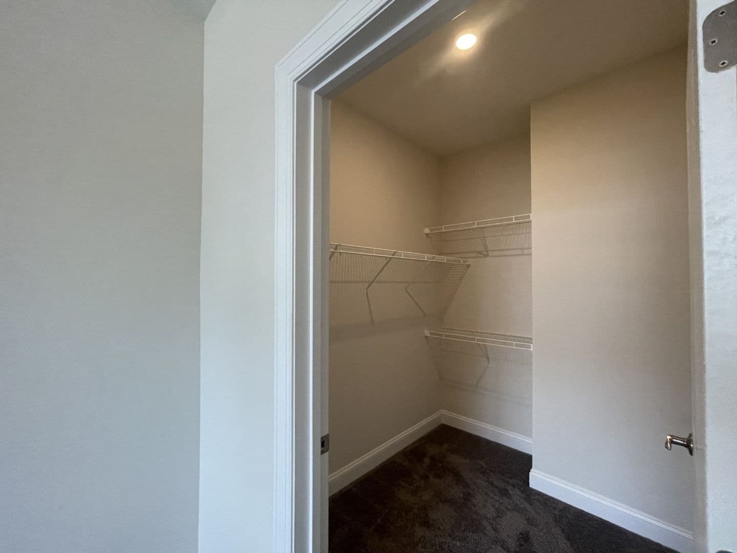 Raleigh Apartment: 1401 Stovall Dr Unit TBD
