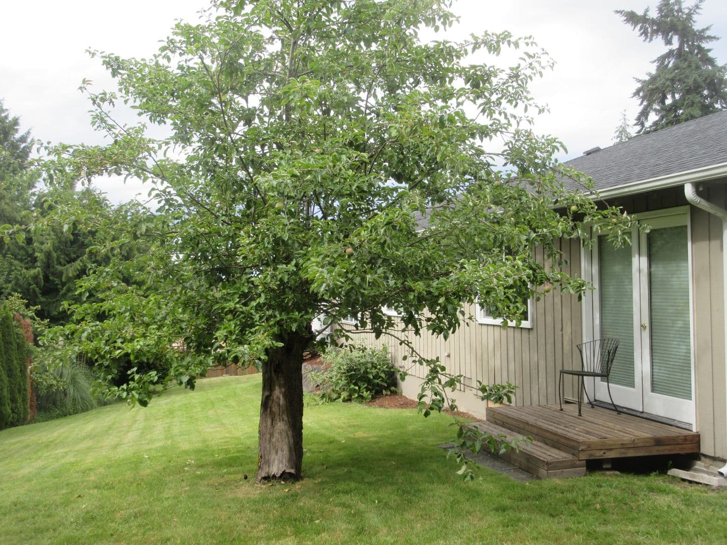 Clyde Hill House: 8831 NE 28th St