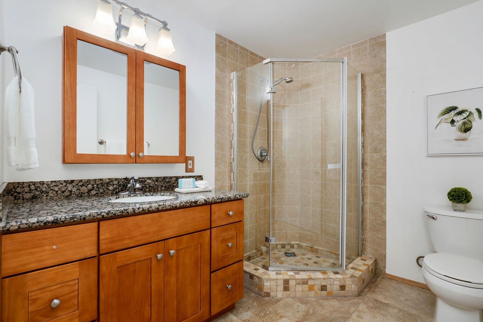 Clyde Hill House: 8808 NE 14th Street