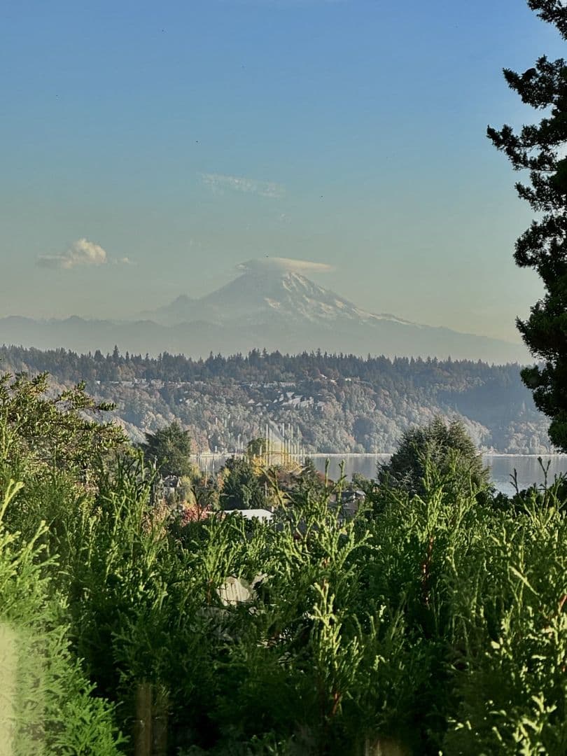 Seattle House: 10680 Marine View Drive SW