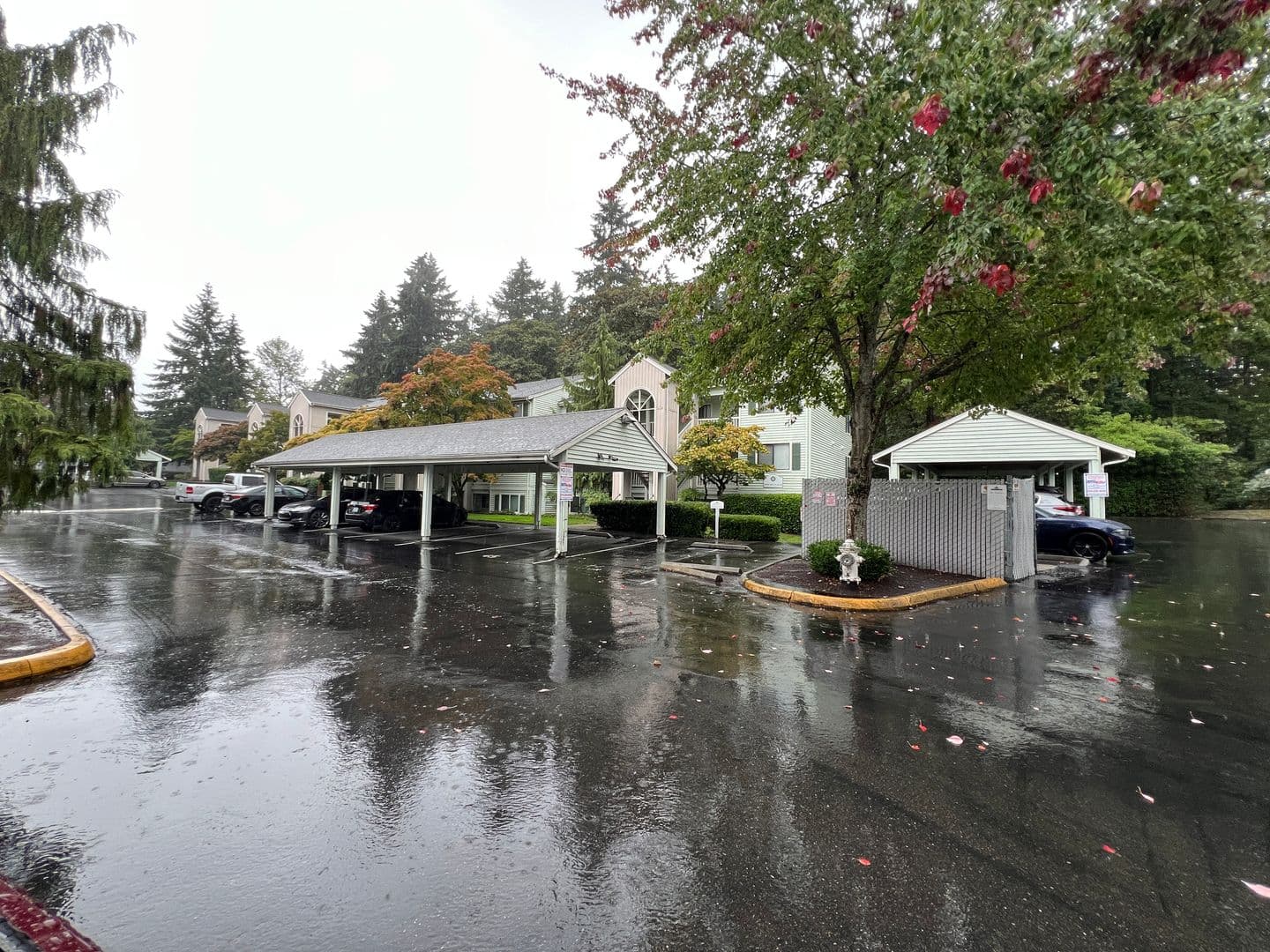 Kent Condo: 25010 98th Place S