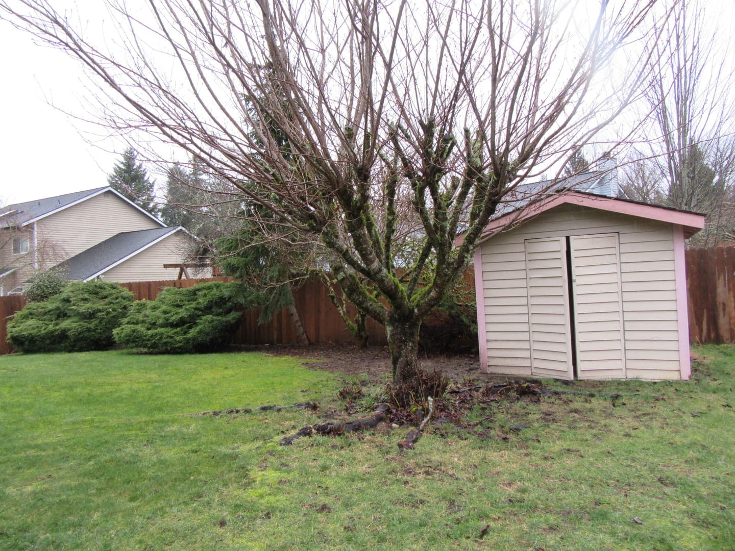 Renton House: 19344 133rd Ave SE