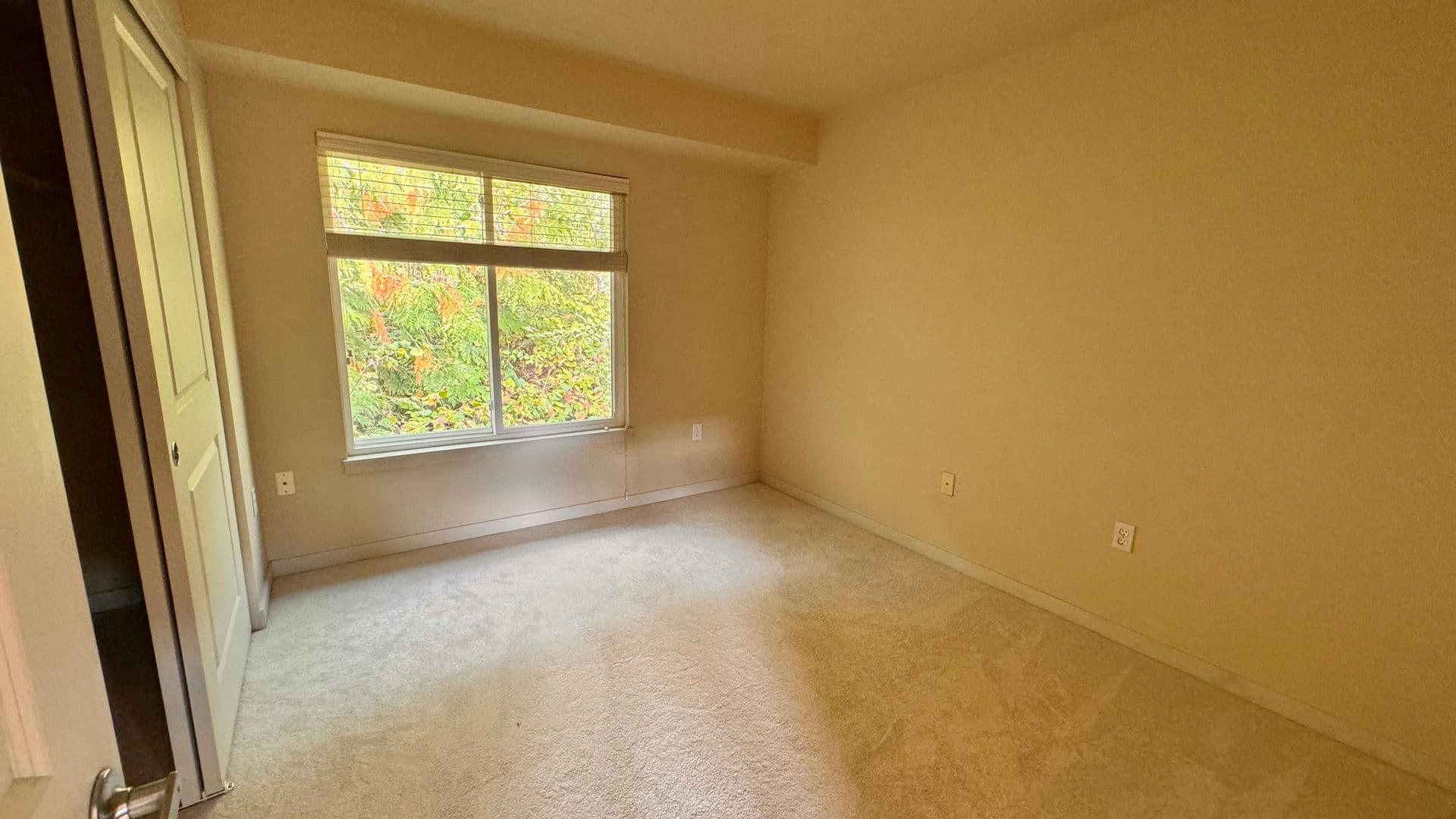 Issaquah House: 21246 SE 42nd Pl
