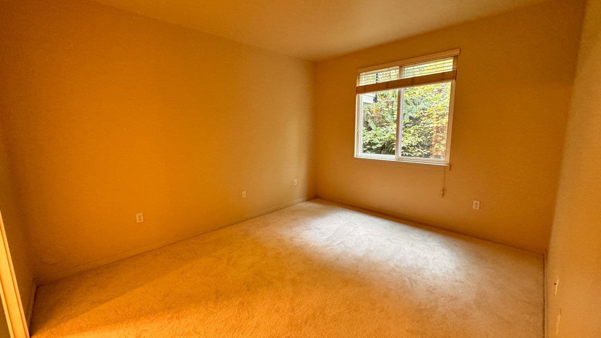 Issaquah House: 21246 SE 42nd Pl