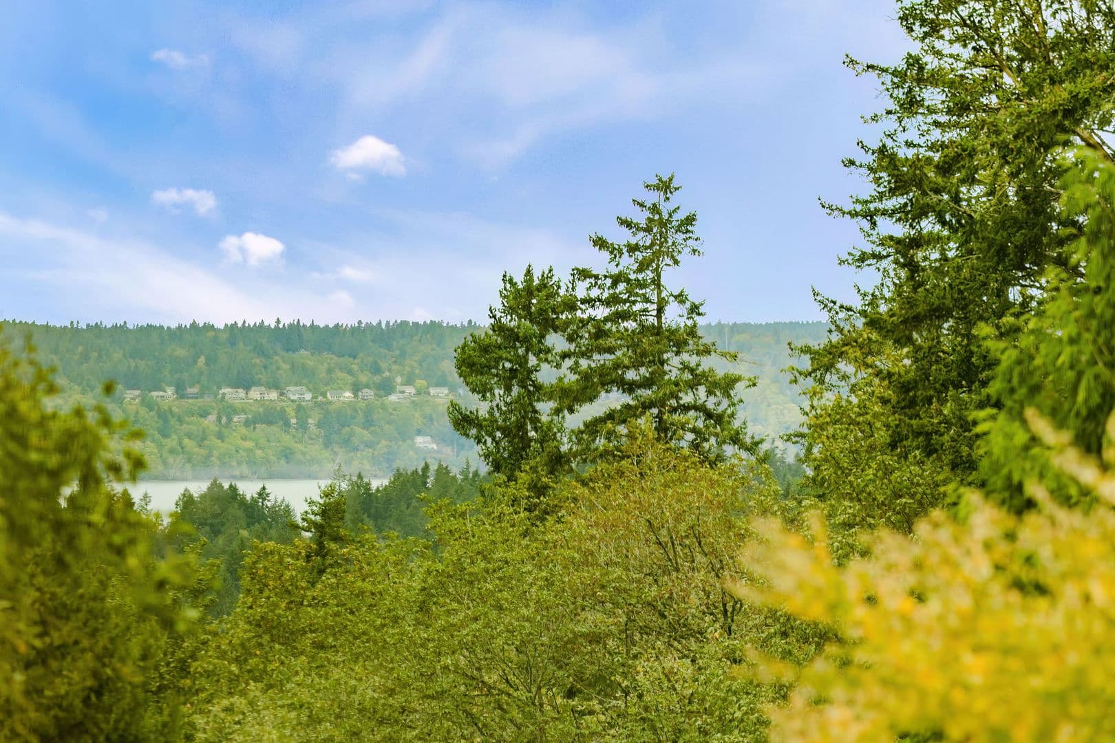 Bainbridge Island House: 9545 NE Idel Weis Ct