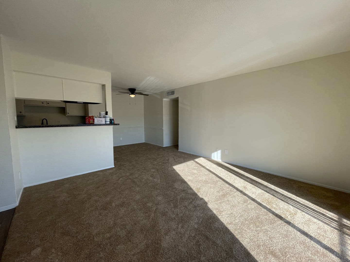 Tyler Apartment: 202 Thigpen Dr.