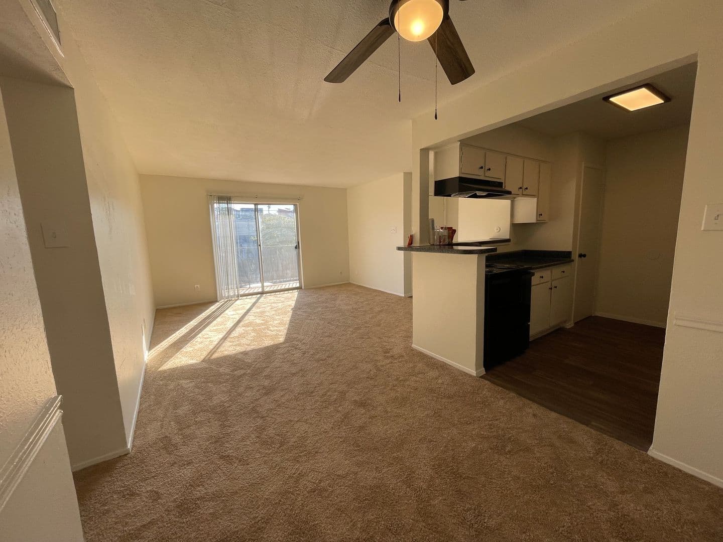 Tyler Apartment: 202 Thigpen Dr.