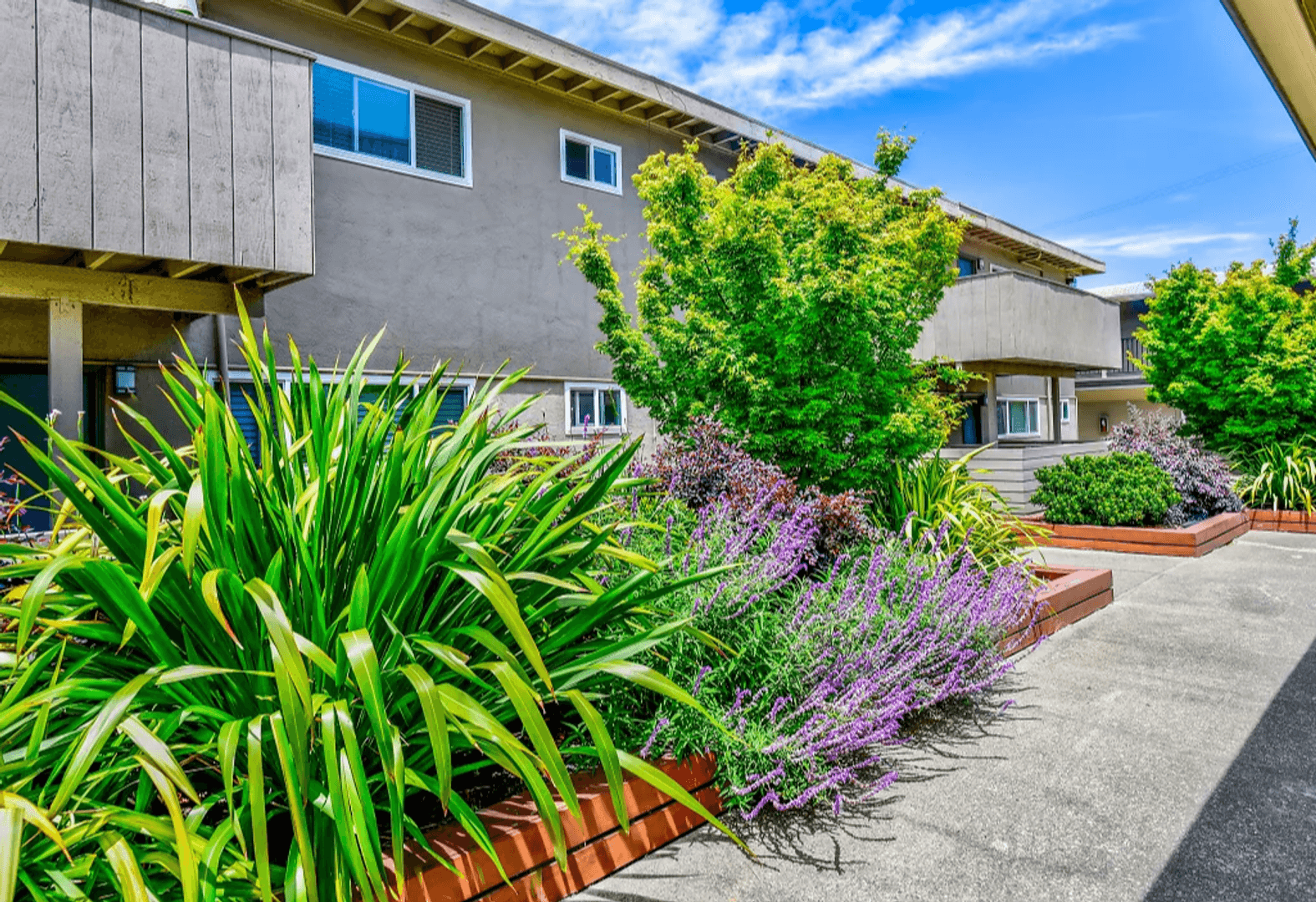 Castro Valley Apartment: 19972 Stanton Ave