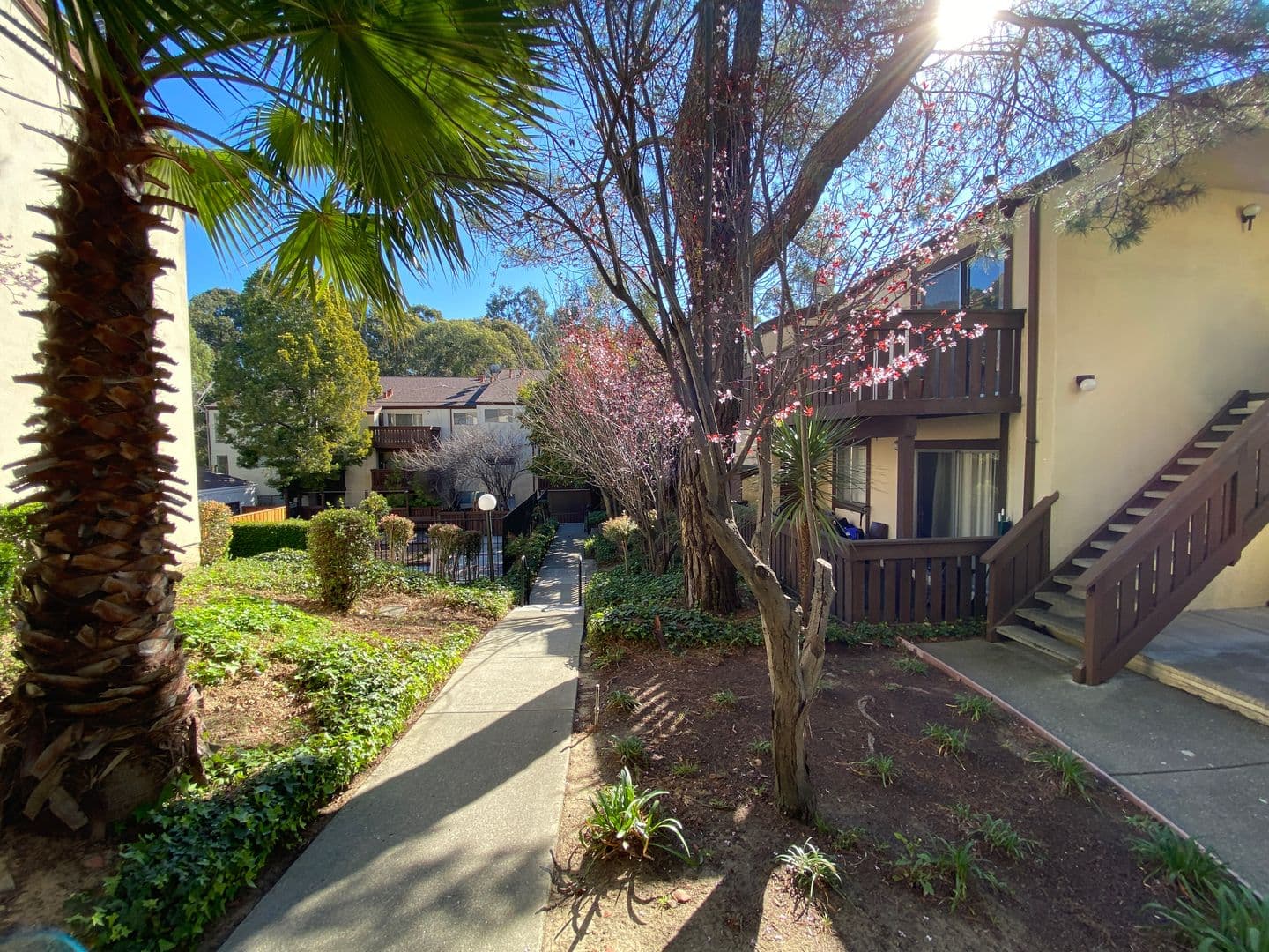 Castro Valley Apartment: 22120 Center St
