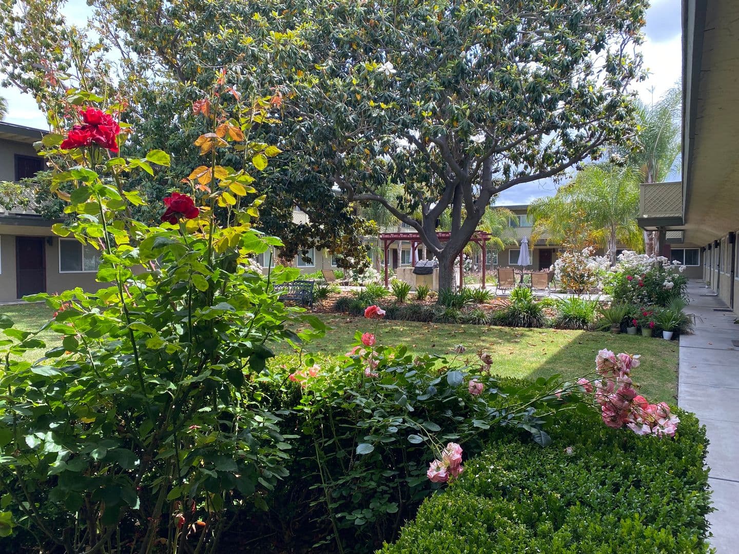 Sunnyvale Apartment: 524 E Maude Ave