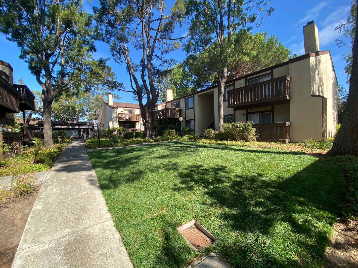 Castro Valley Apartment: 22120 Center St