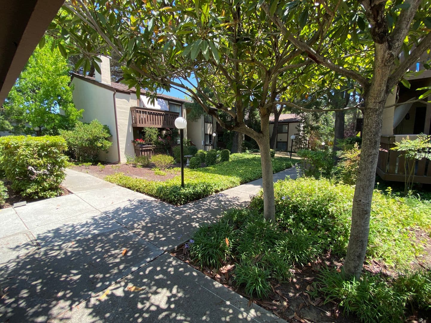 Castro Valley Apartment: 22120 Center St