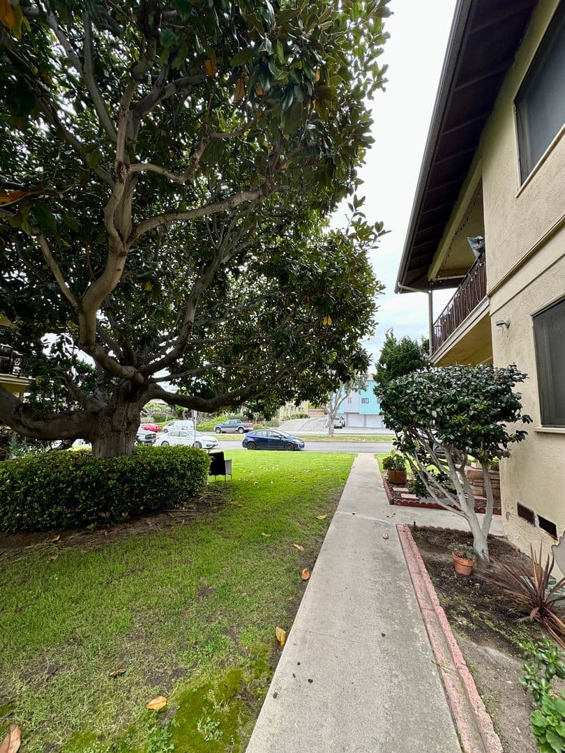 Redondo Beach Apartment: 321-325 Calle Miramar