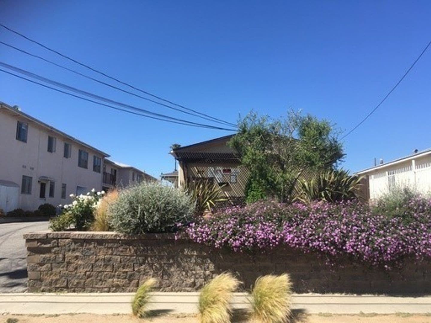 Inglewood Apartment: 217 E. Ivy Avenue