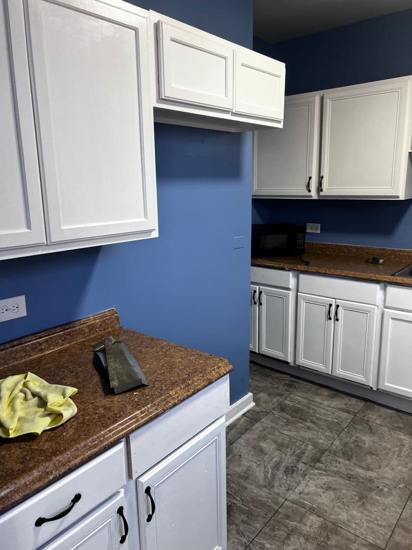 Chicago Apartment: 1300 West 57th St