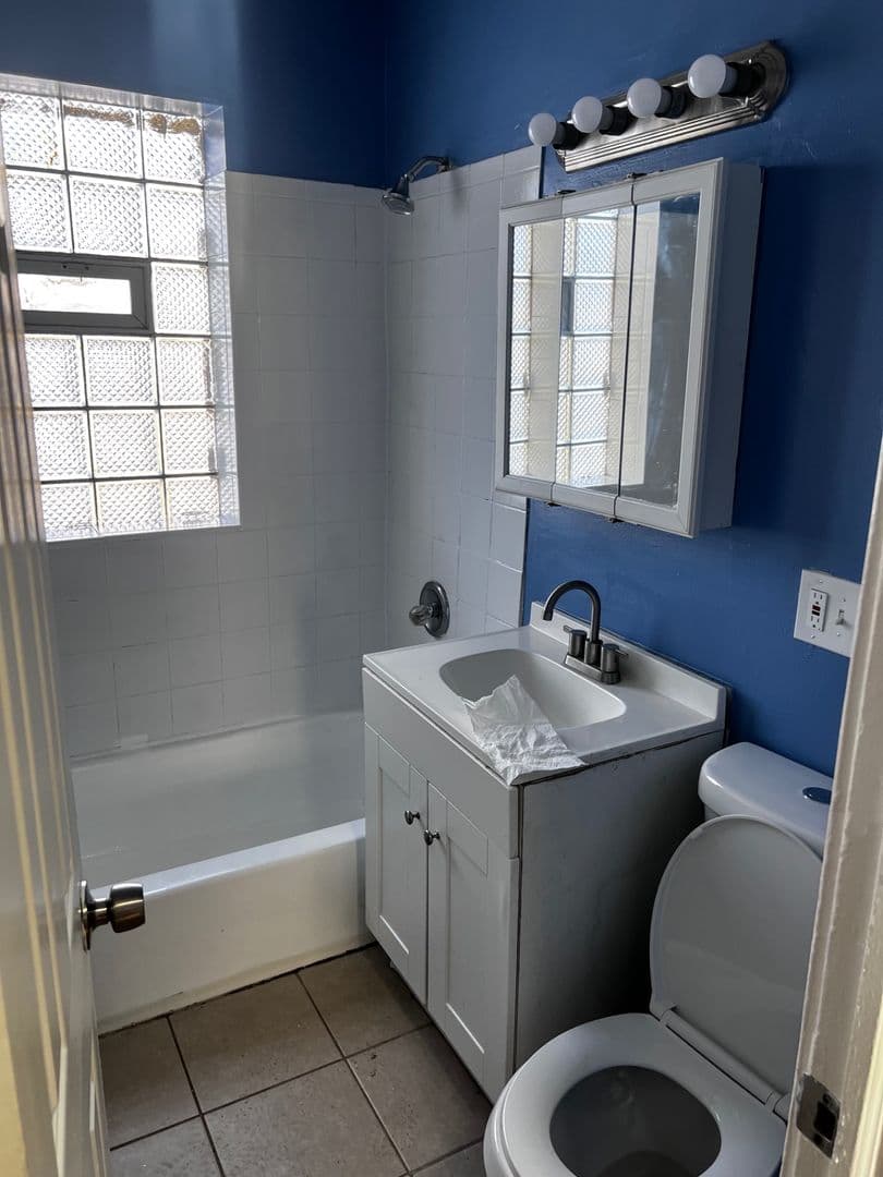 Chicago Apartment: 1300 West 57th St