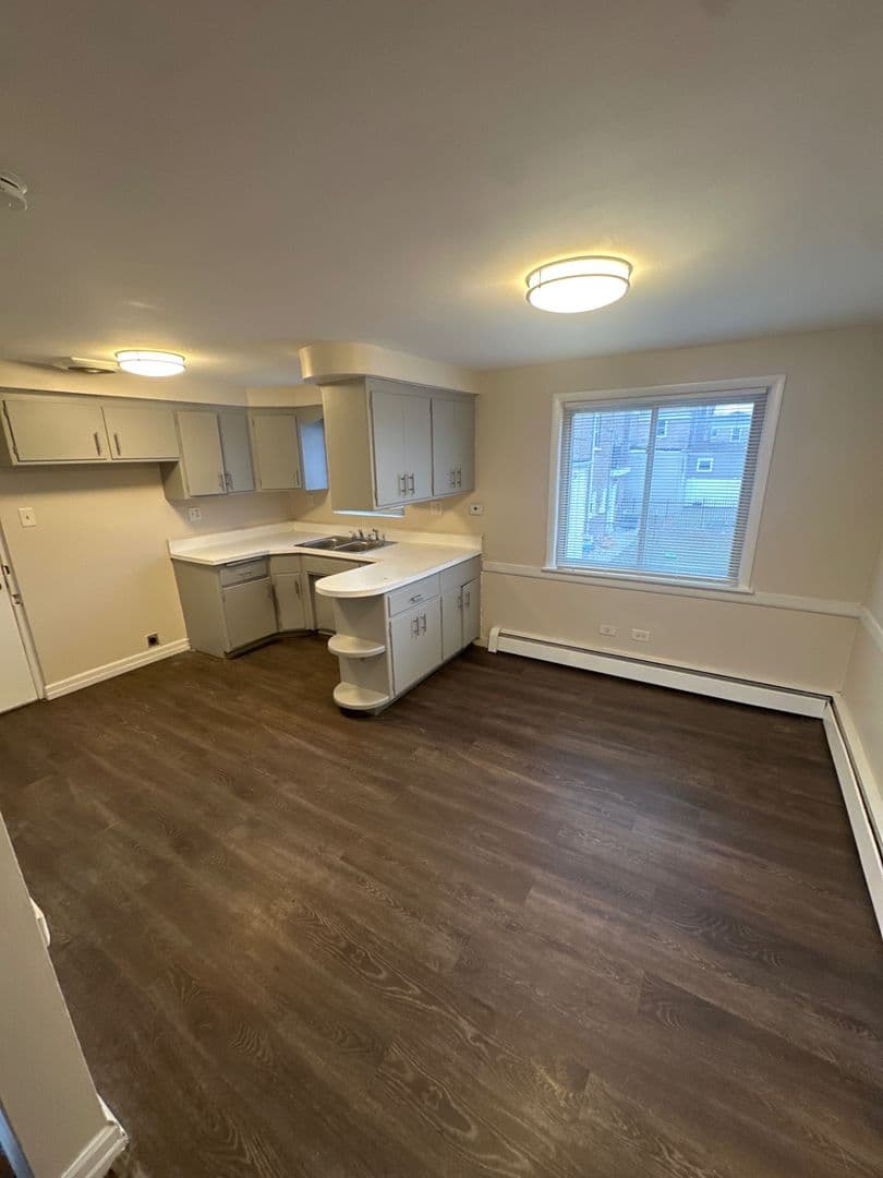 Chicago Apartment: 8916 South Justine Street