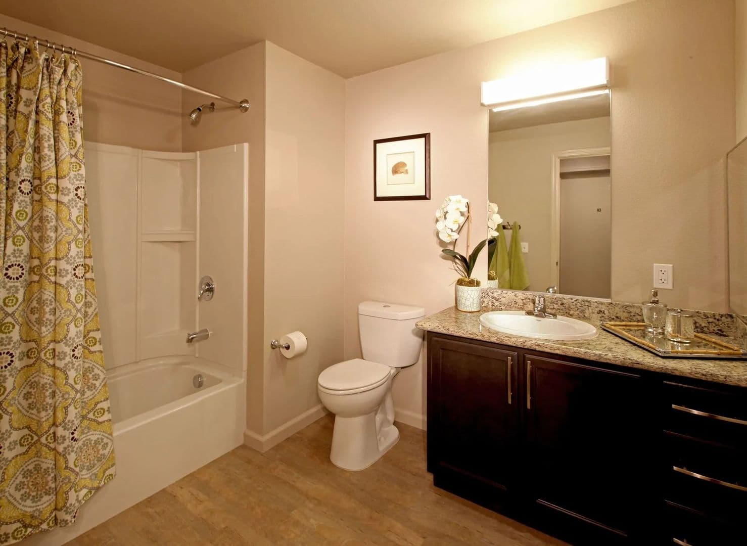 Davis Apartment: 1440 Wake Forest Drive