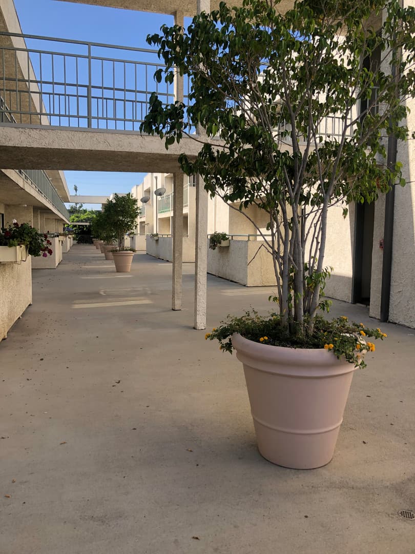 Northridge Apartment: 17841 Lassen Street