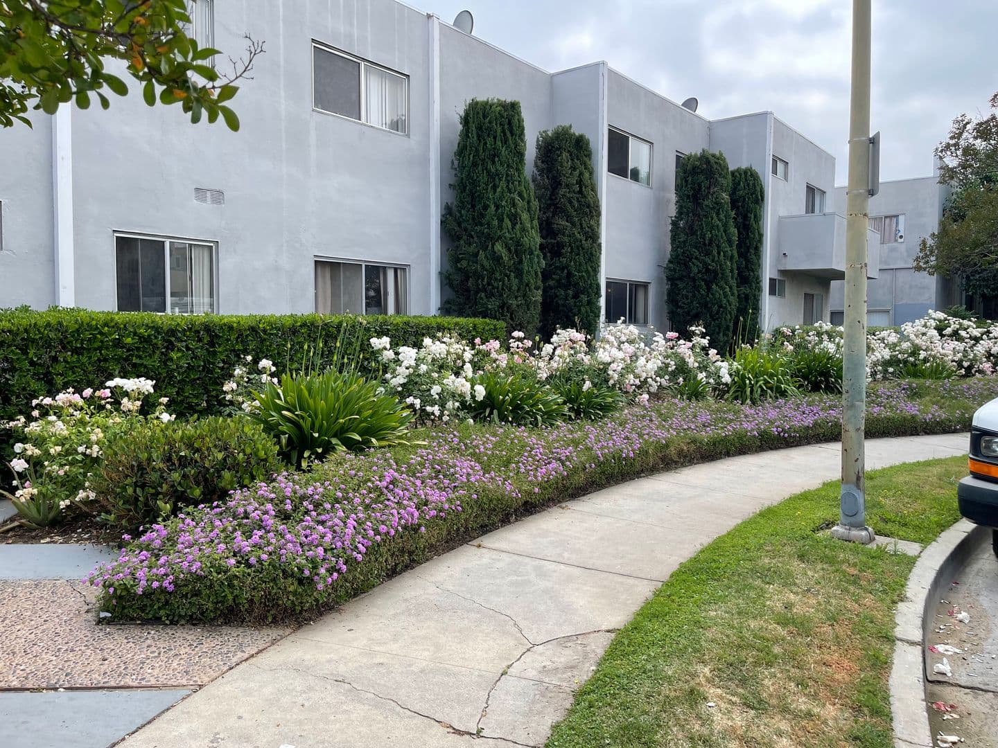 Granada Hills Apartment: 16914 Blackhawk Street