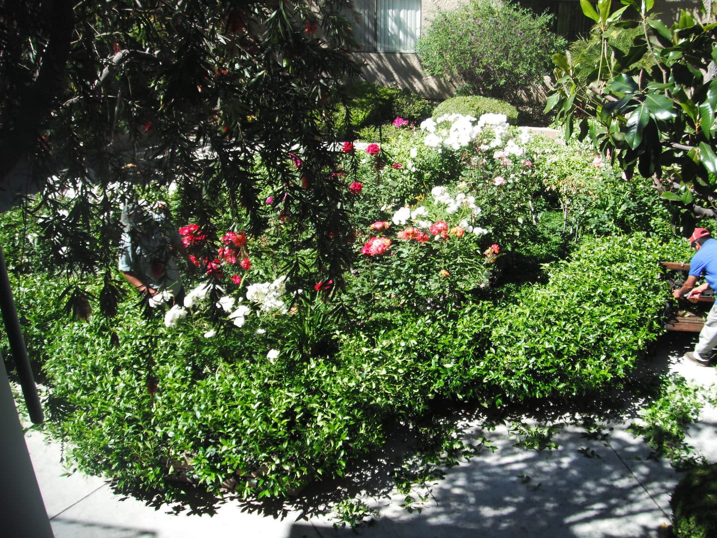 Canoga Park Apartment: 7255 Independence Ave