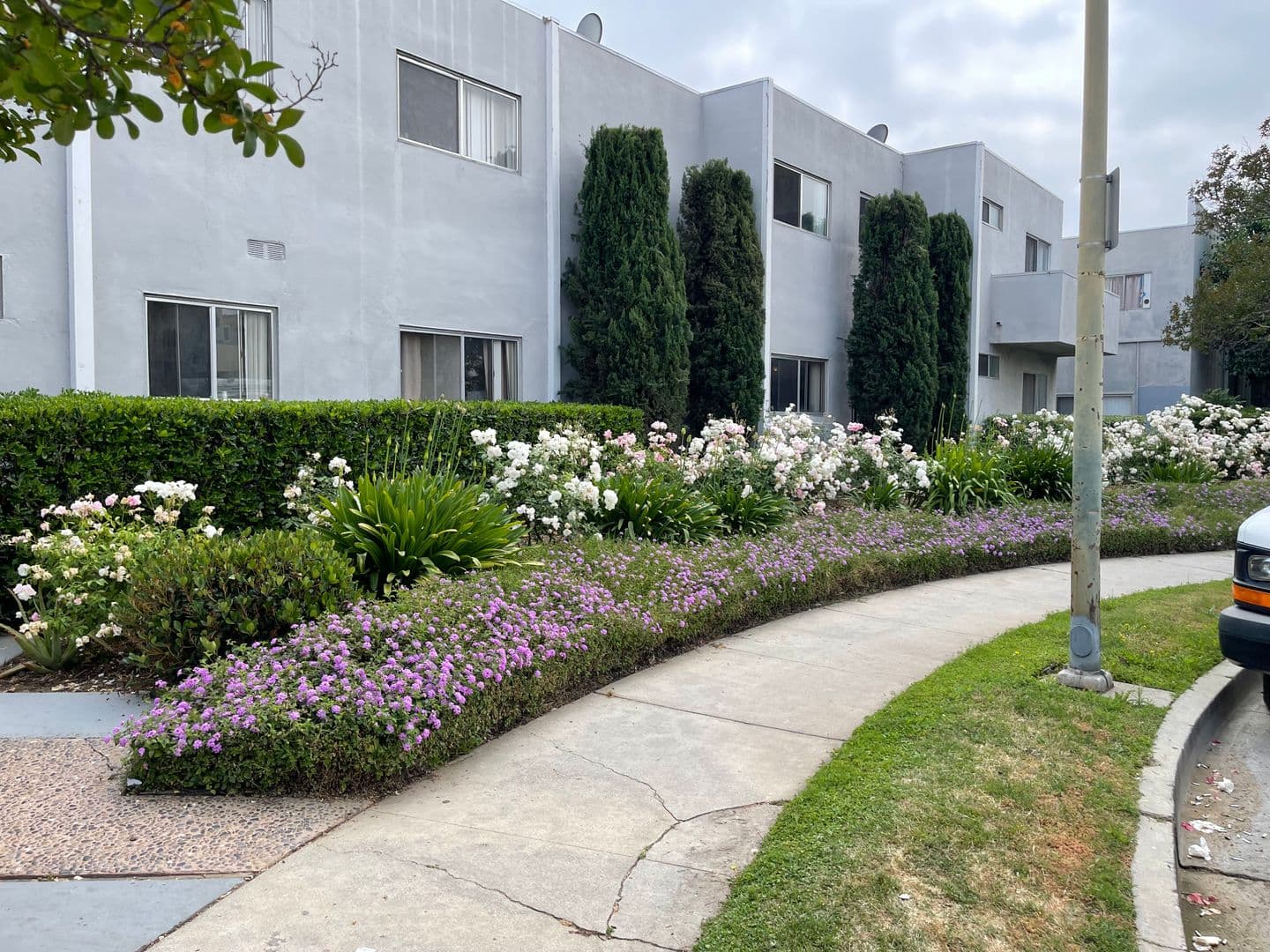 Granada Hills Apartment: 16914 Blackhawk Street