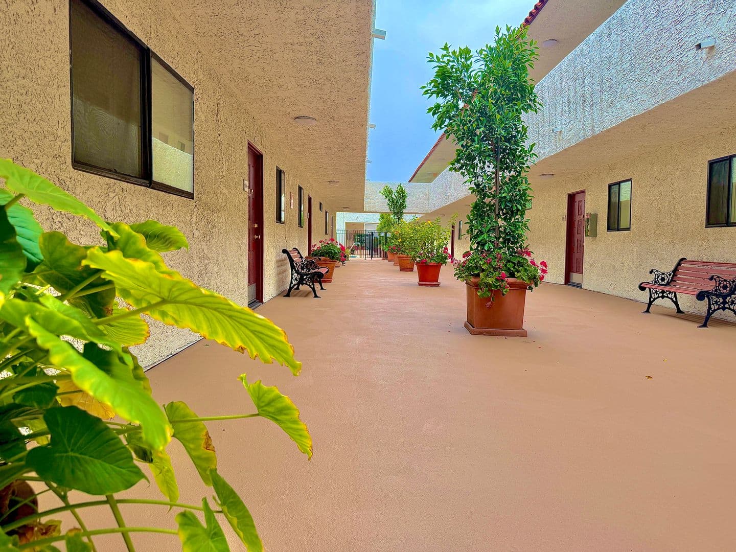 Sherman Oaks Apartment: 5637 Hazeltine Avenue