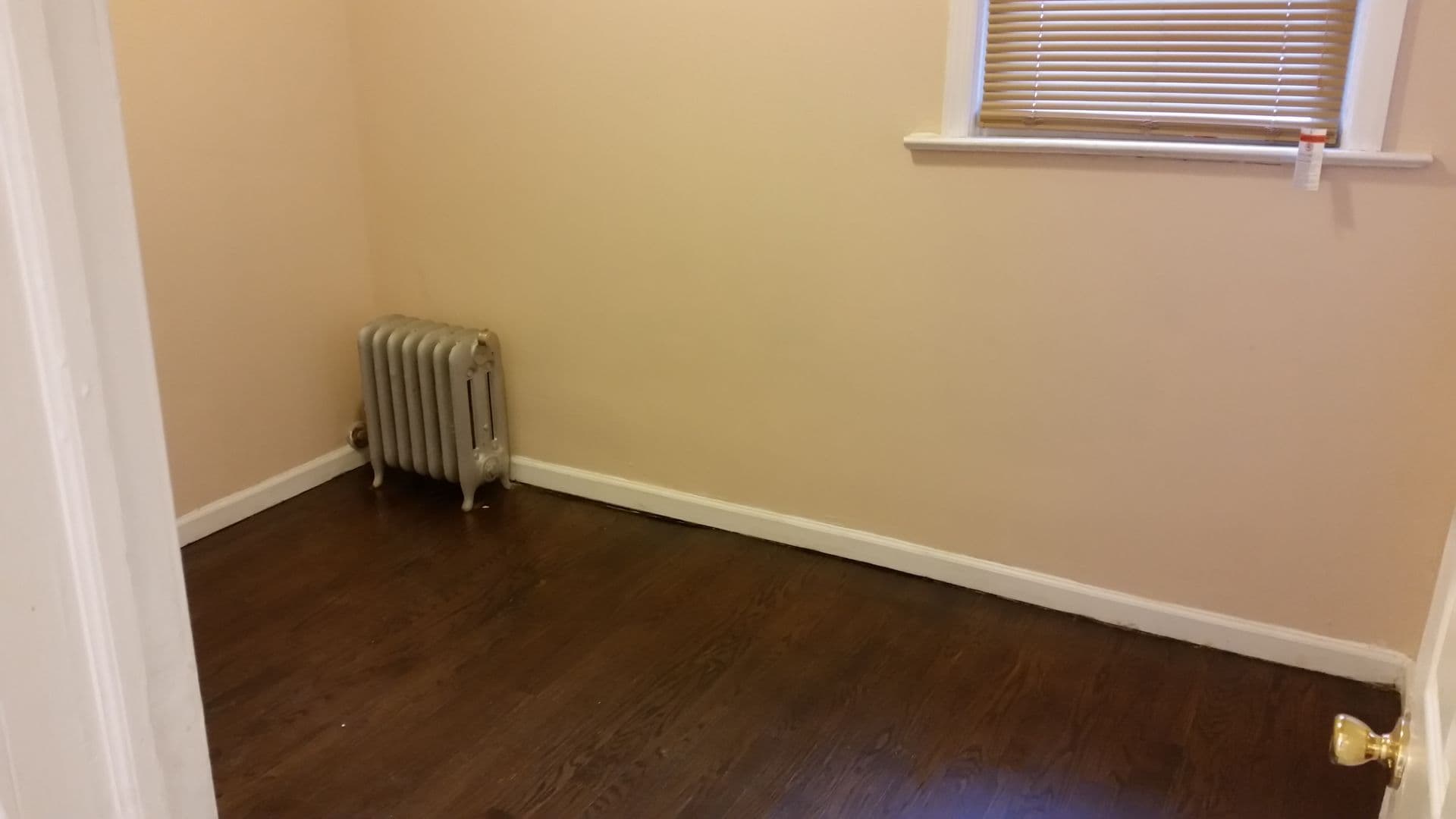 Newark Apartment: 243 N 11th St