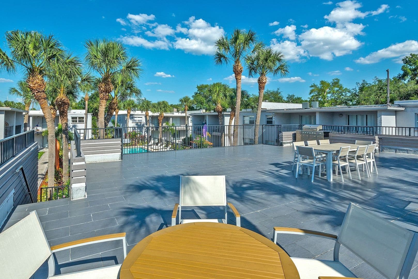 Tampa Apartment: 1426