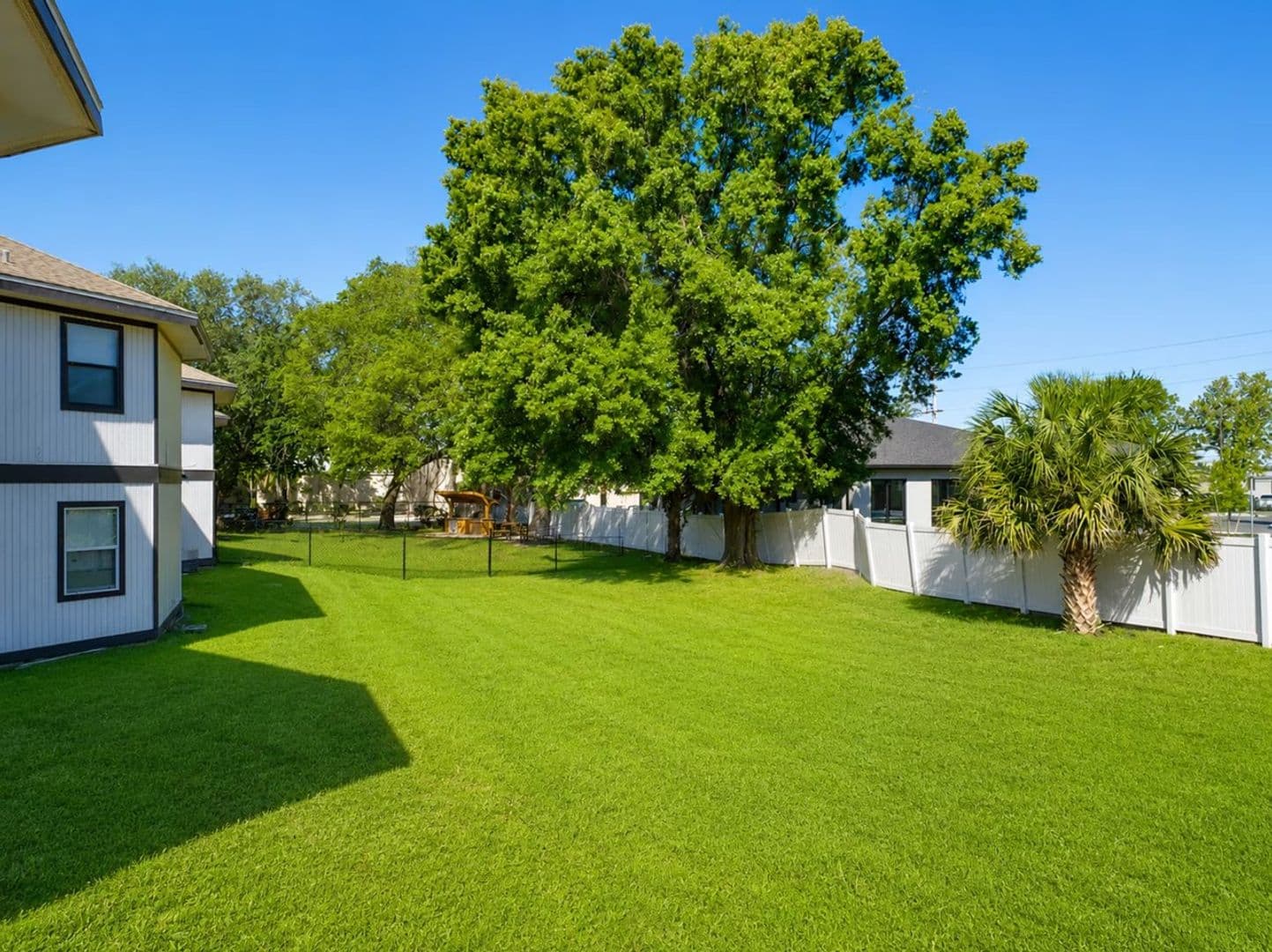 Tampa Apartment: 8014 Tommy Ct
