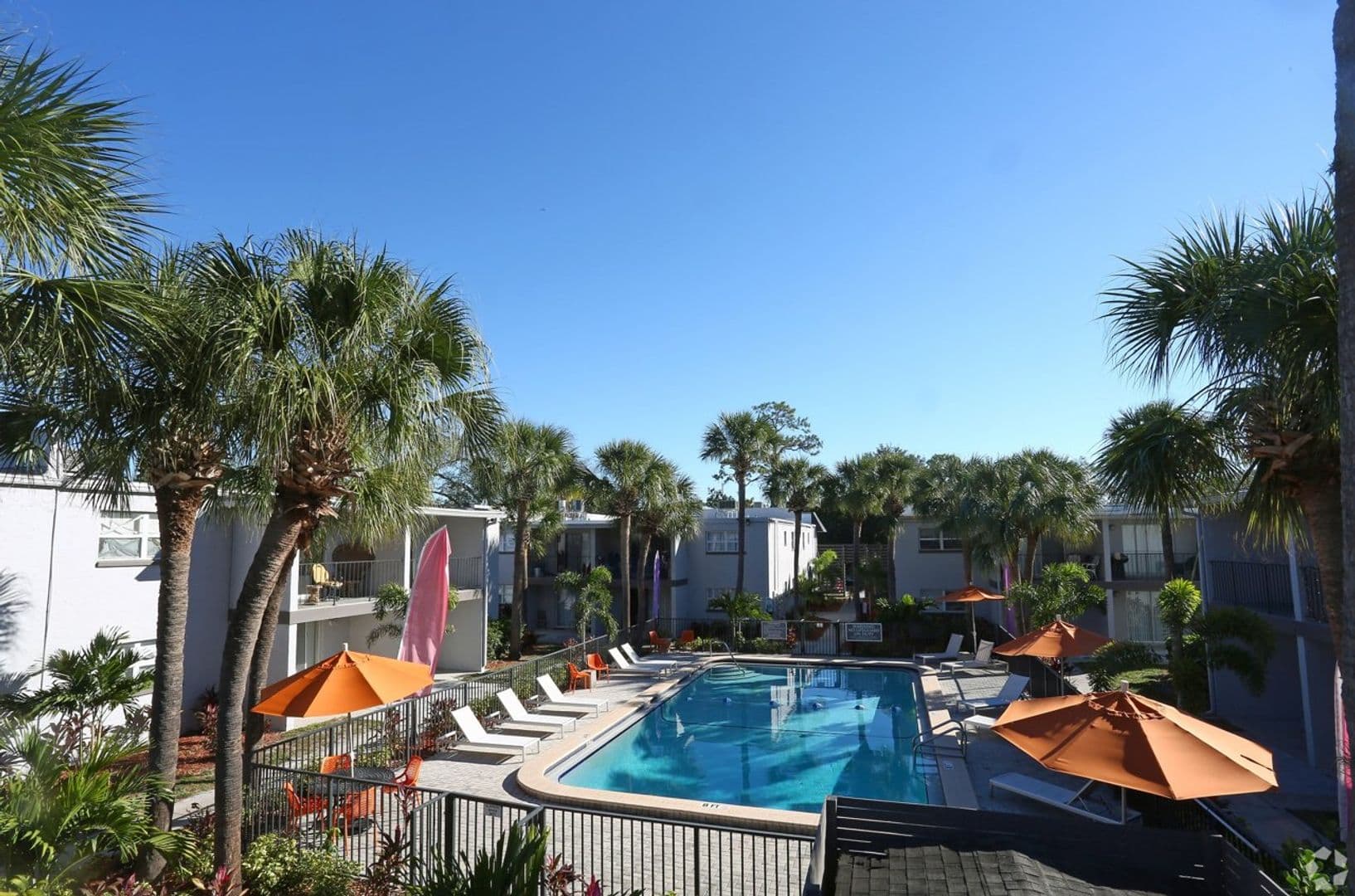 Tampa Apartment: 1426