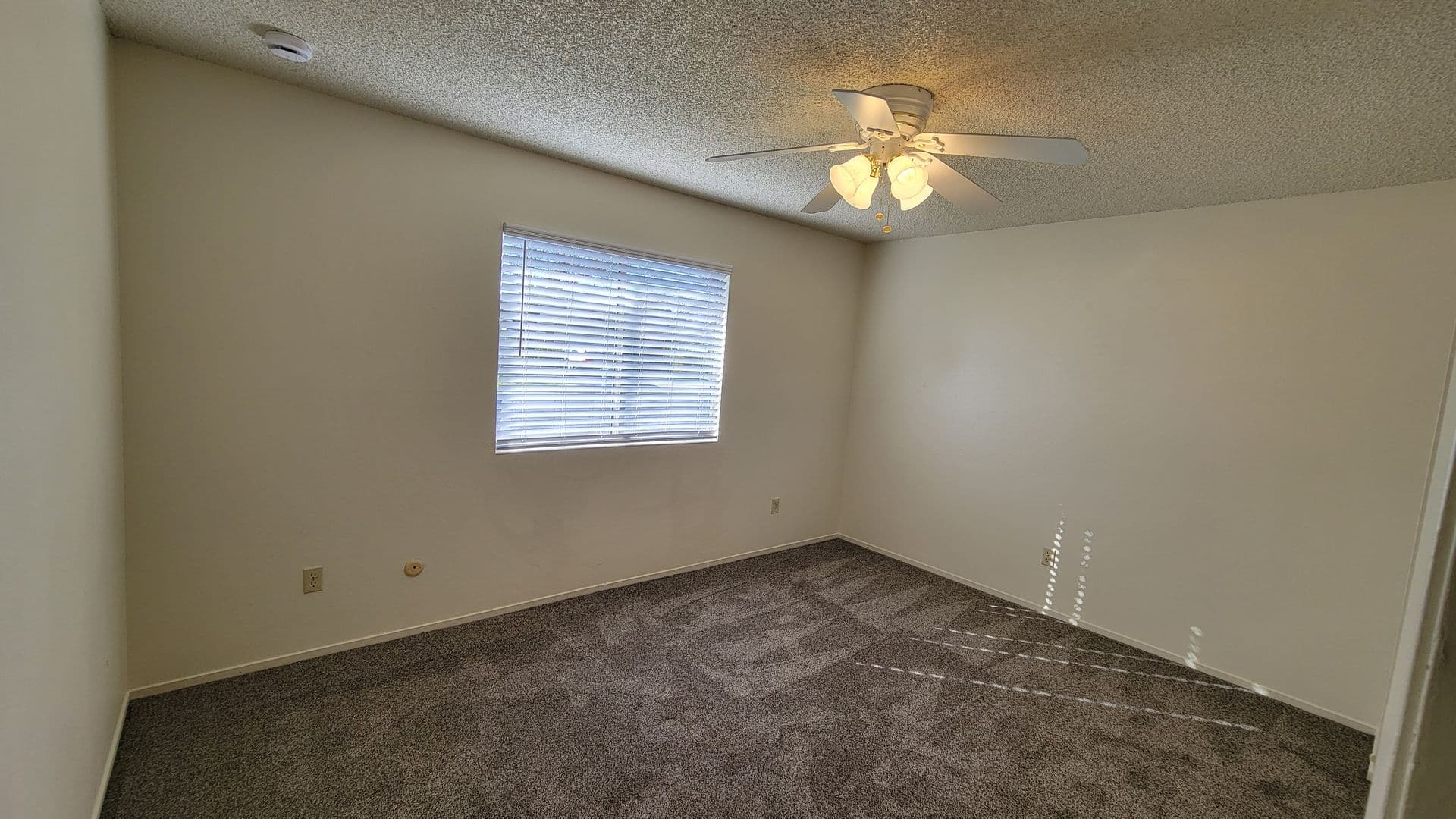 Modesto Multiplex: 1801 Kruger Drive