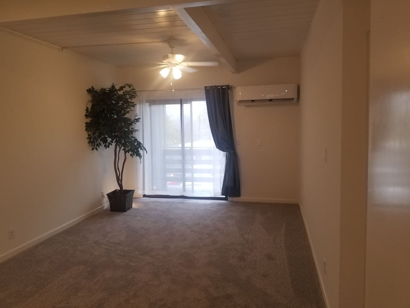 San Andreas Apartment: 342 E. St. Charles Street
