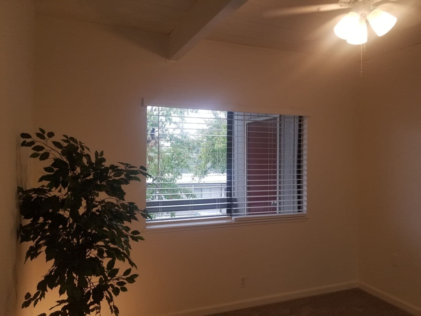 San Andreas Apartment: 342 E. St. Charles Street