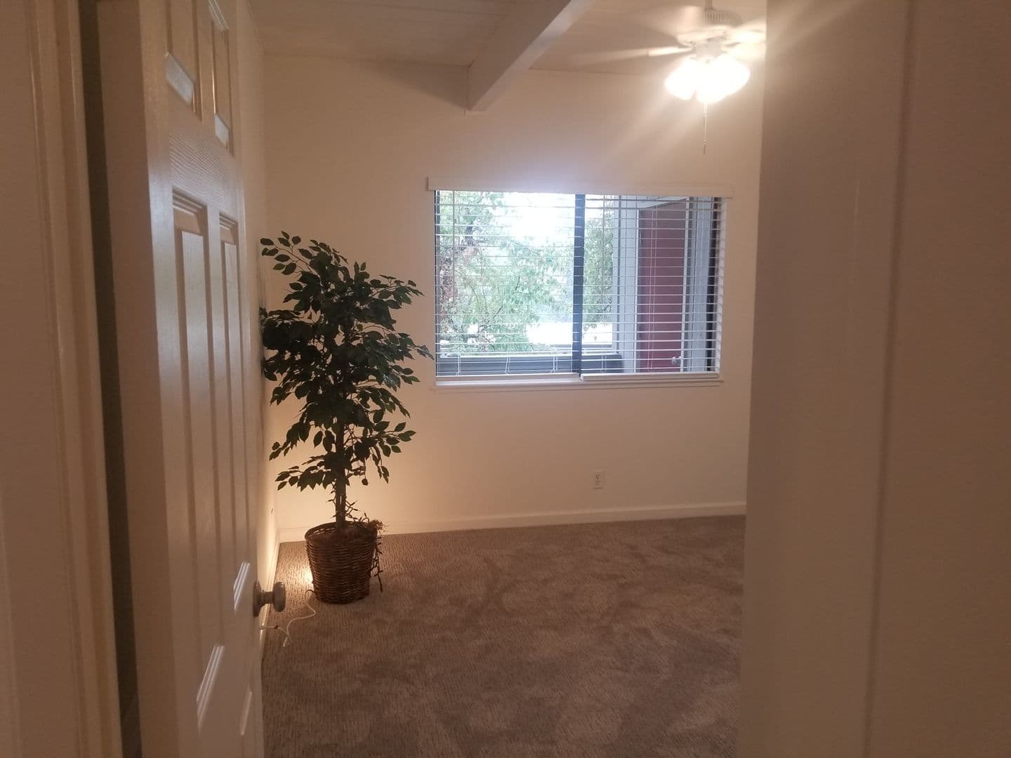 San Andreas Apartment: 342 E. St. Charles Street