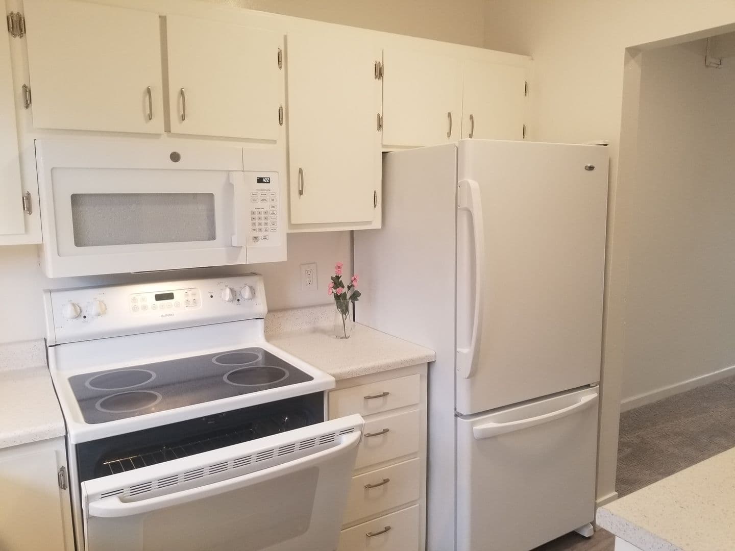 San Andreas Apartment: 342 E. St. Charles Street