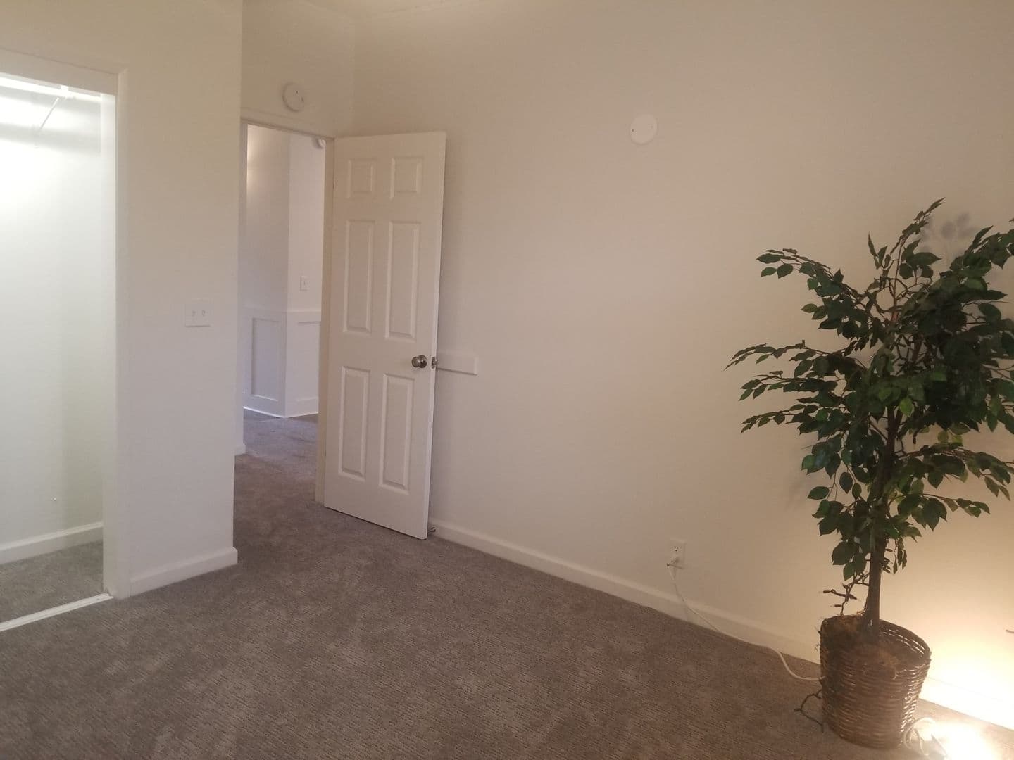 San Andreas Apartment: 342 E. St. Charles Street