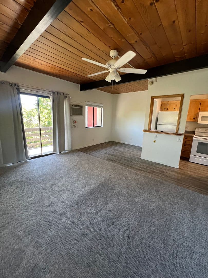 San Andreas Apartment: 342 E. St. Charles Street