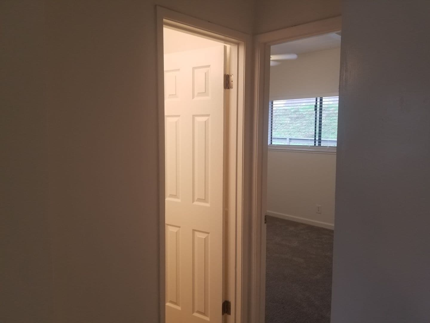 San Andreas Apartment: 342 E. St. Charles Street