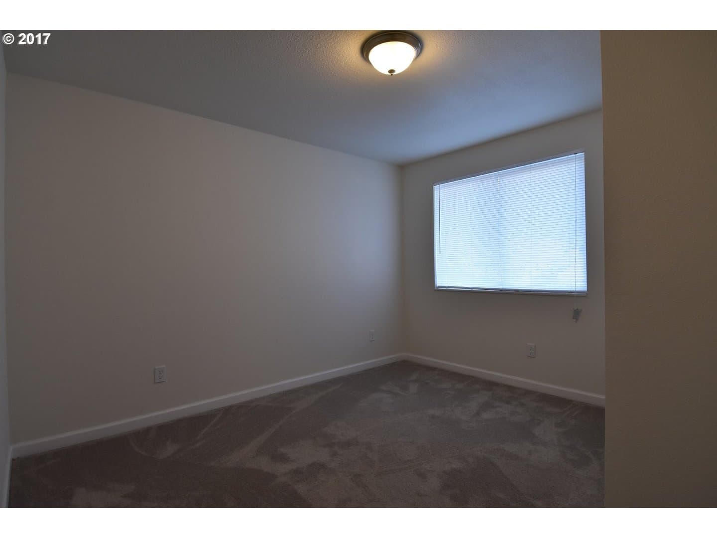 Vancouver Apartment: 3839 E 18th Street