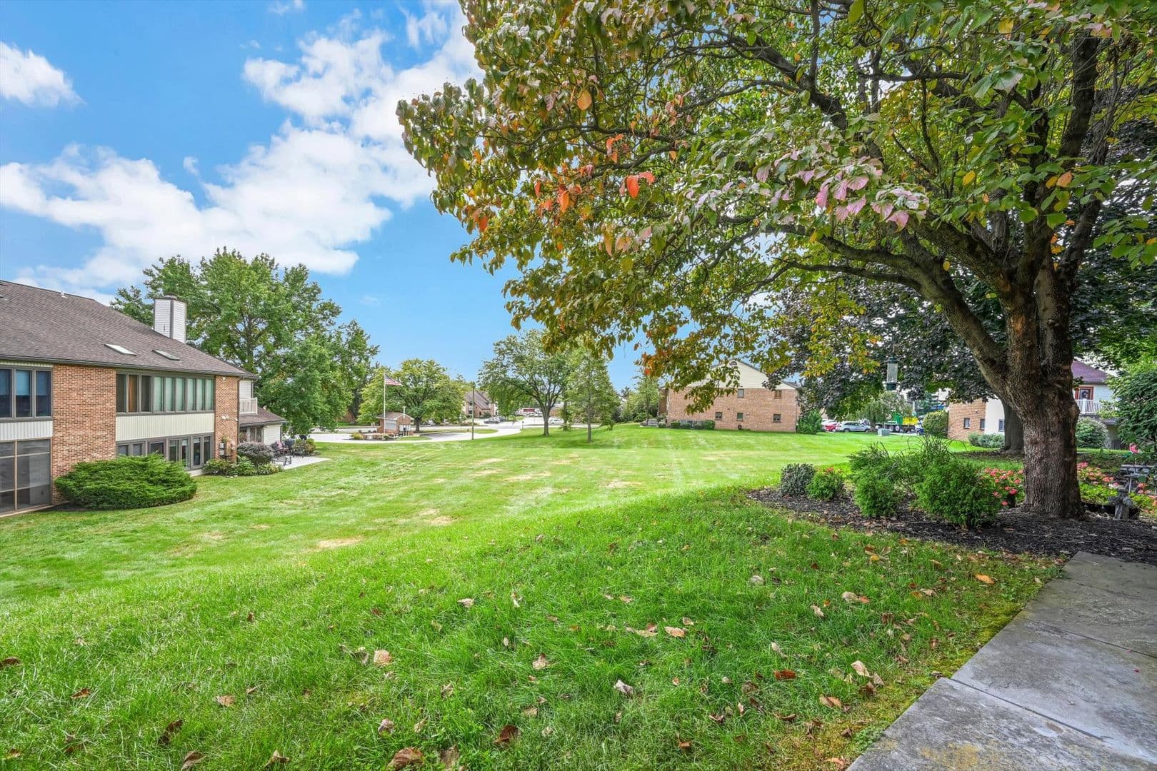 Lancaster House: 246 Black Oak Drive