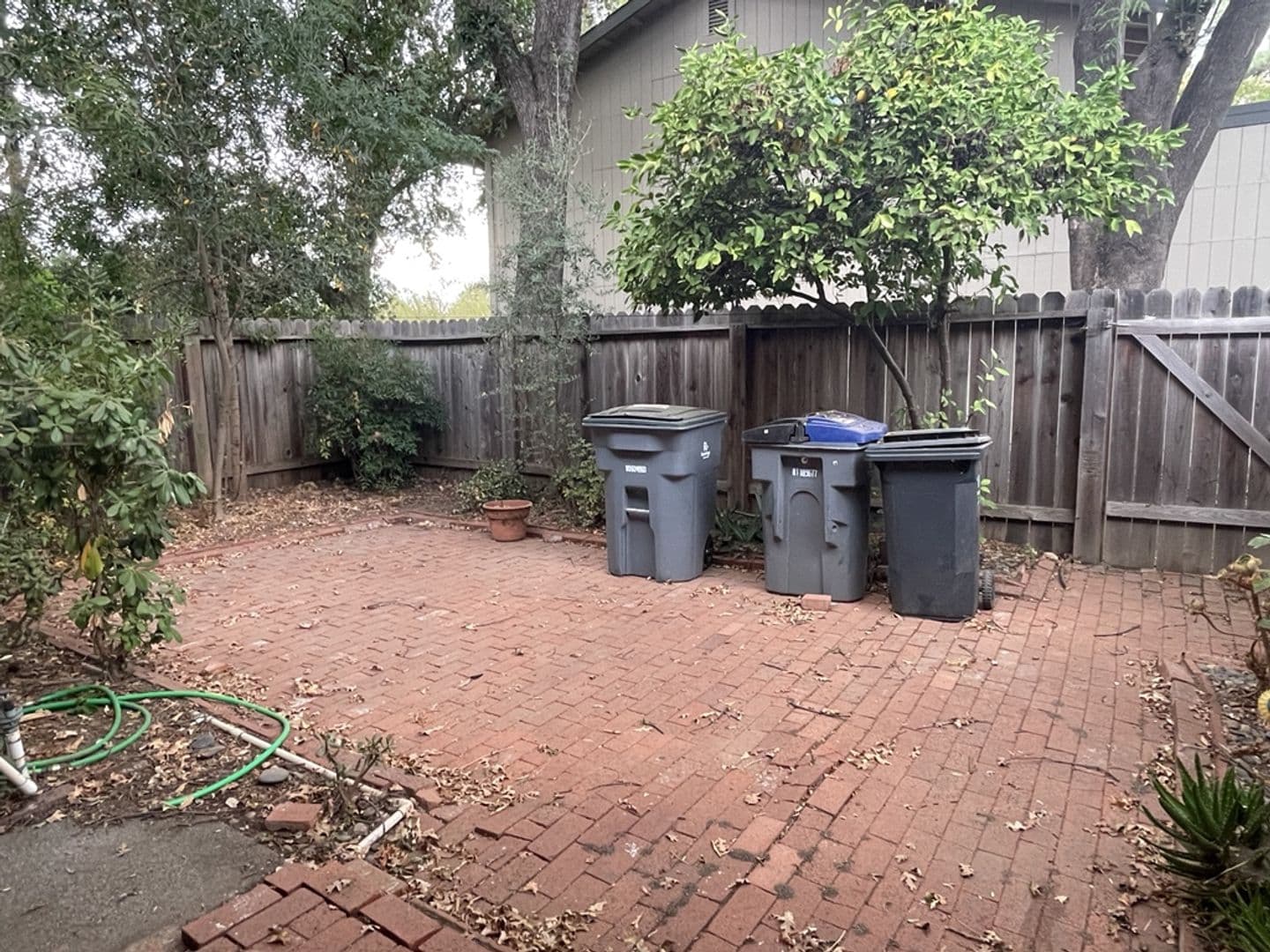 Davis House: 3401 Bermuda #27