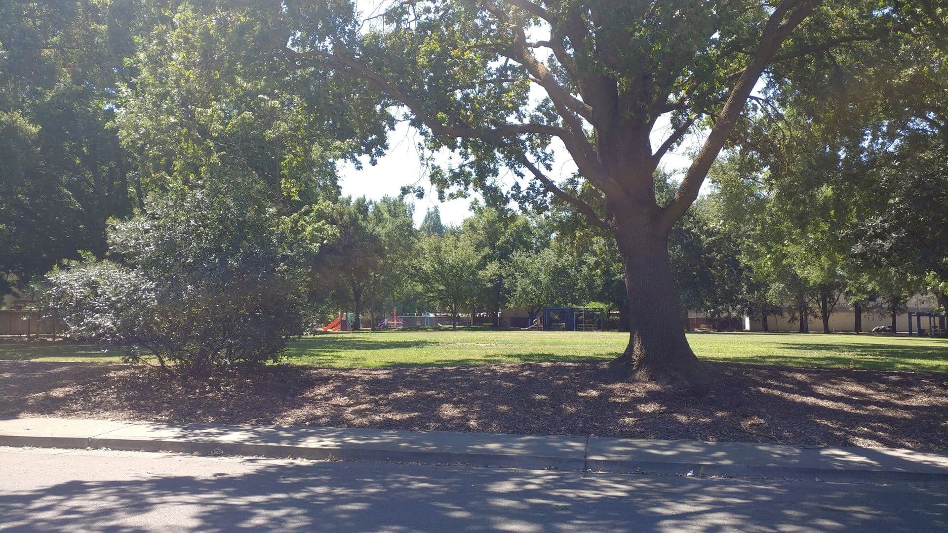 Davis Condo: 1901 Donner Ave #4