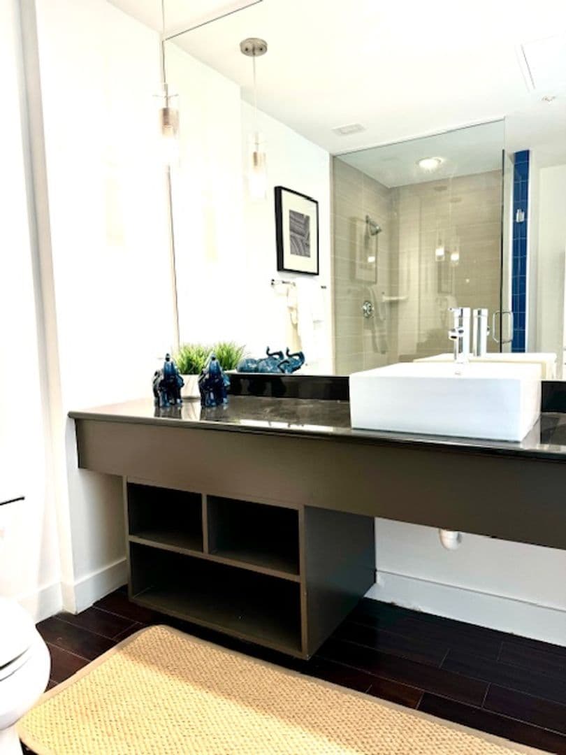 Baltimore Apartment: 207 E Redwood St Unit