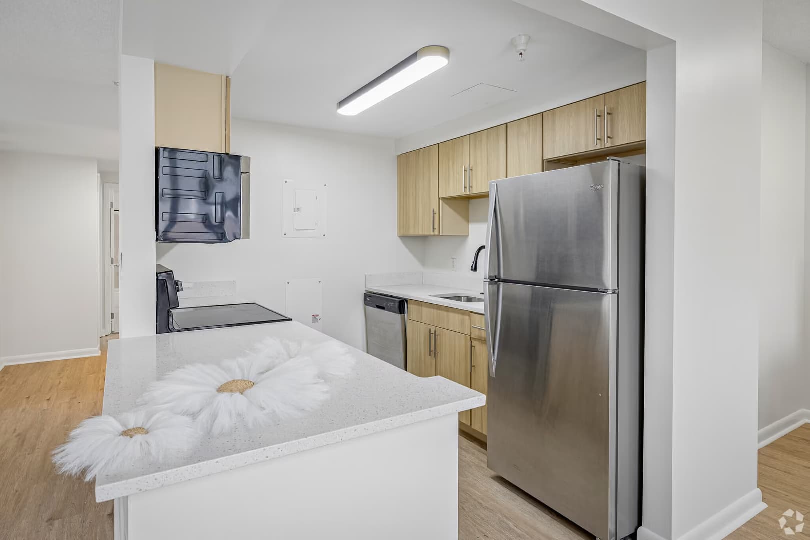 Baltimore Apartment: 518 Fayette Street
