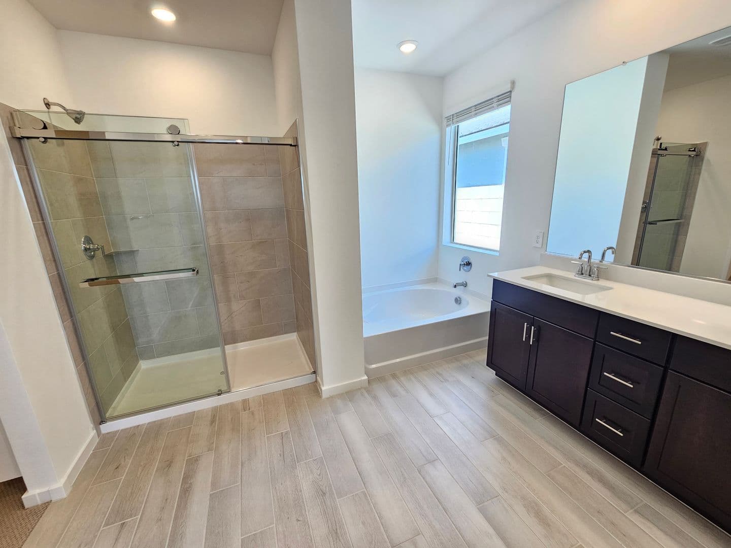 Surprise House: 26007 N 160th Lane